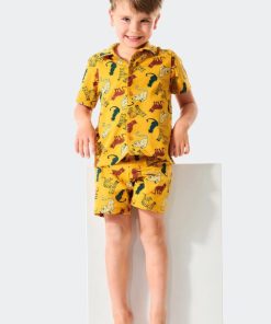 Mollyross.shop67a63618c7 1