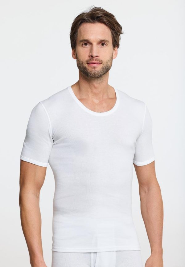 Mollyross.shop71c1878f68 4