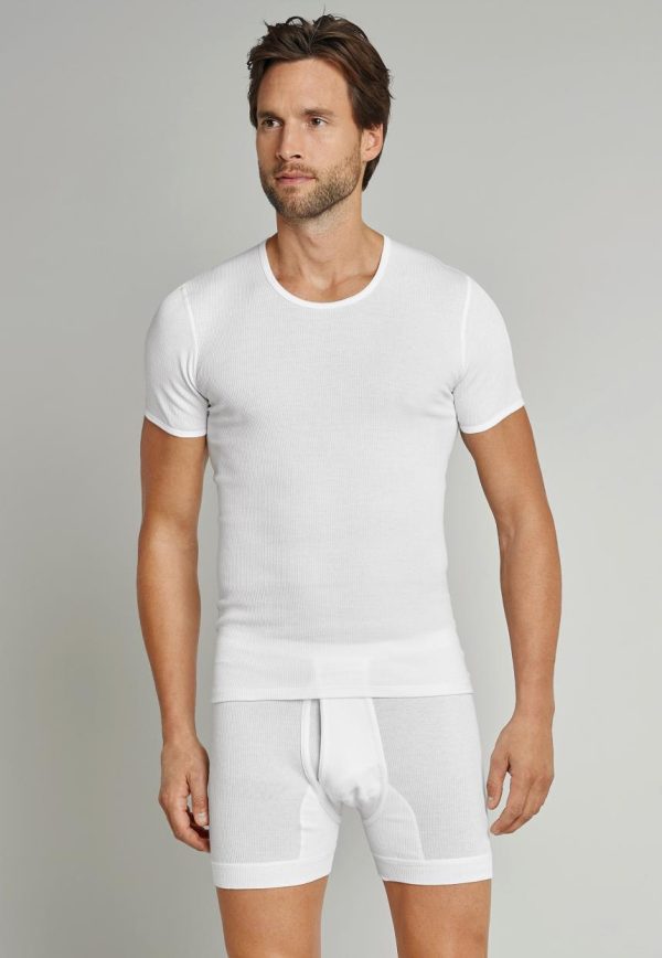 Mollyross.shop843717e9b2 1