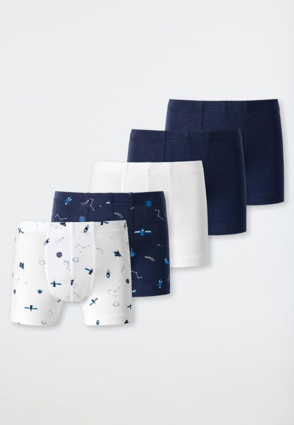 Mollyross.shopdf1c5dbf96 1